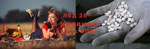 индика Алзамай