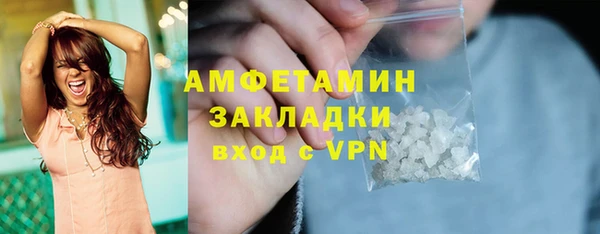индика Алзамай