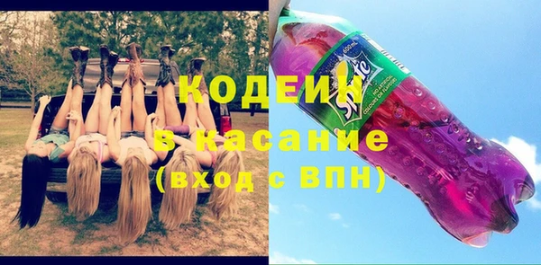индика Алзамай