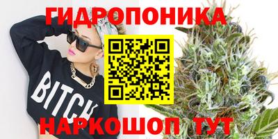 PSILOCYBIN Бийск