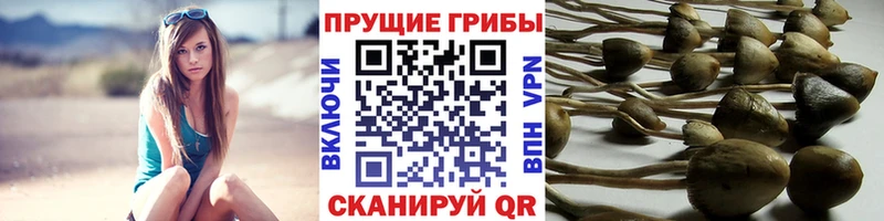 kraken ONION  Десногорск  Галлюциногенные грибы мухоморы 