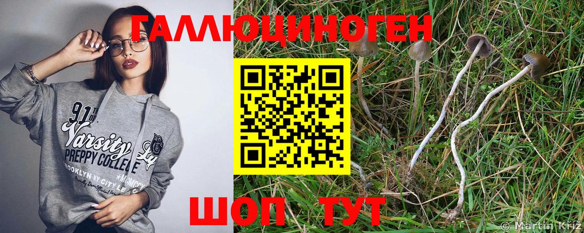 Десногорск  Галлюциногенные грибы Magic Shrooms  Галлюциногенные грибы мухоморы  Вход с VPN 